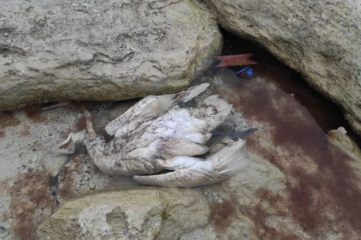 Фото местных жителей