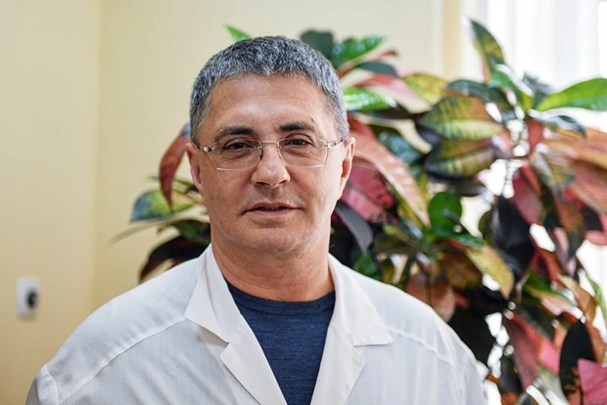 Фото: Владимир Песня / РИА Новости