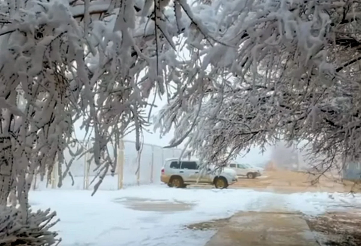 Фото: кадр видео