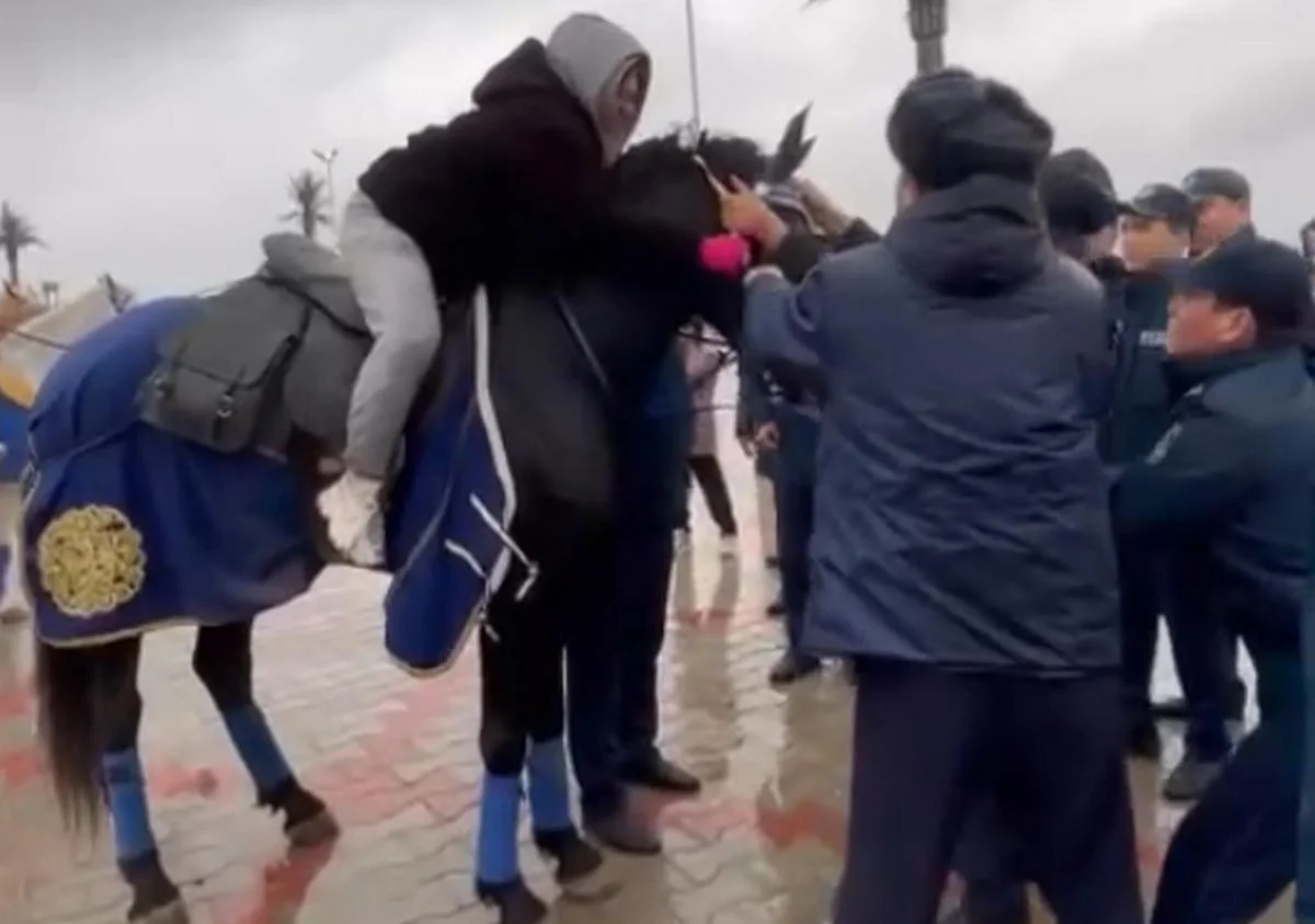 Фото: кадр видео