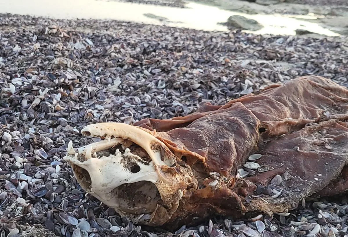 Фото местных жителей