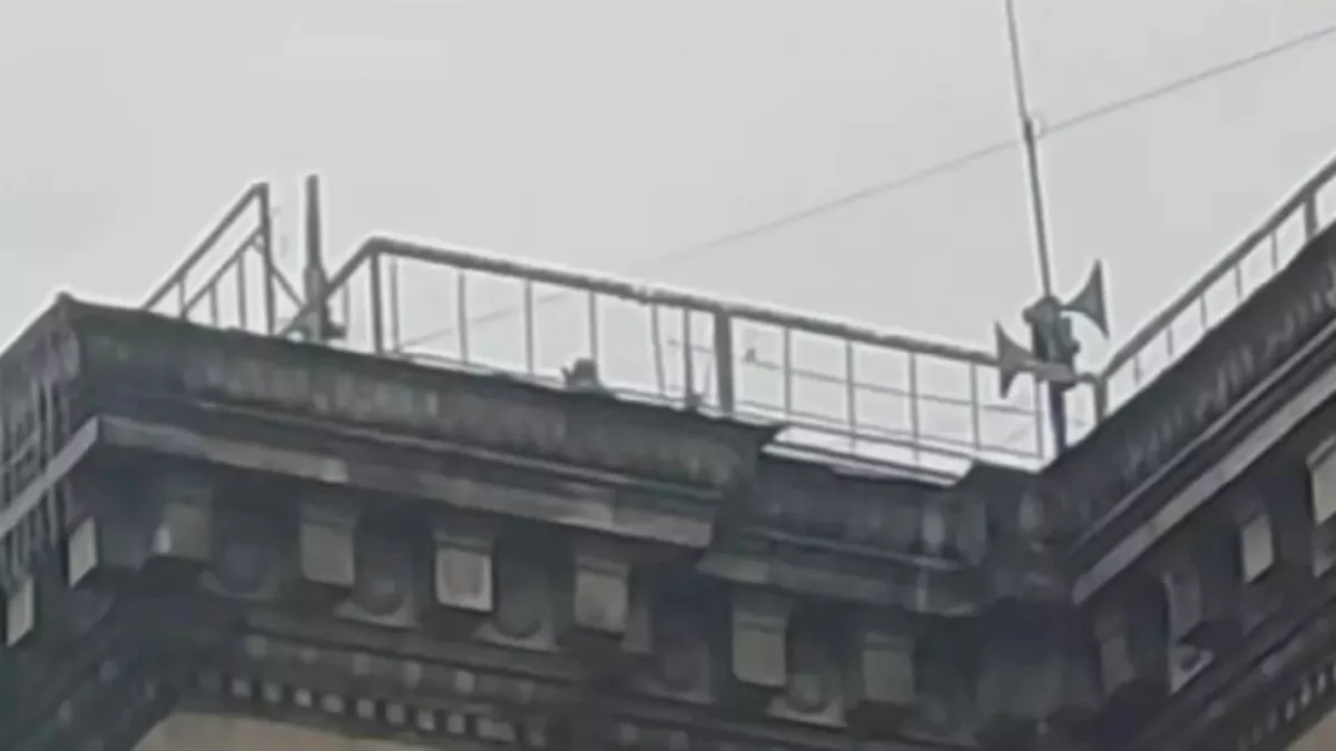 Кадр из видео: tiktok.com/@bake_9595