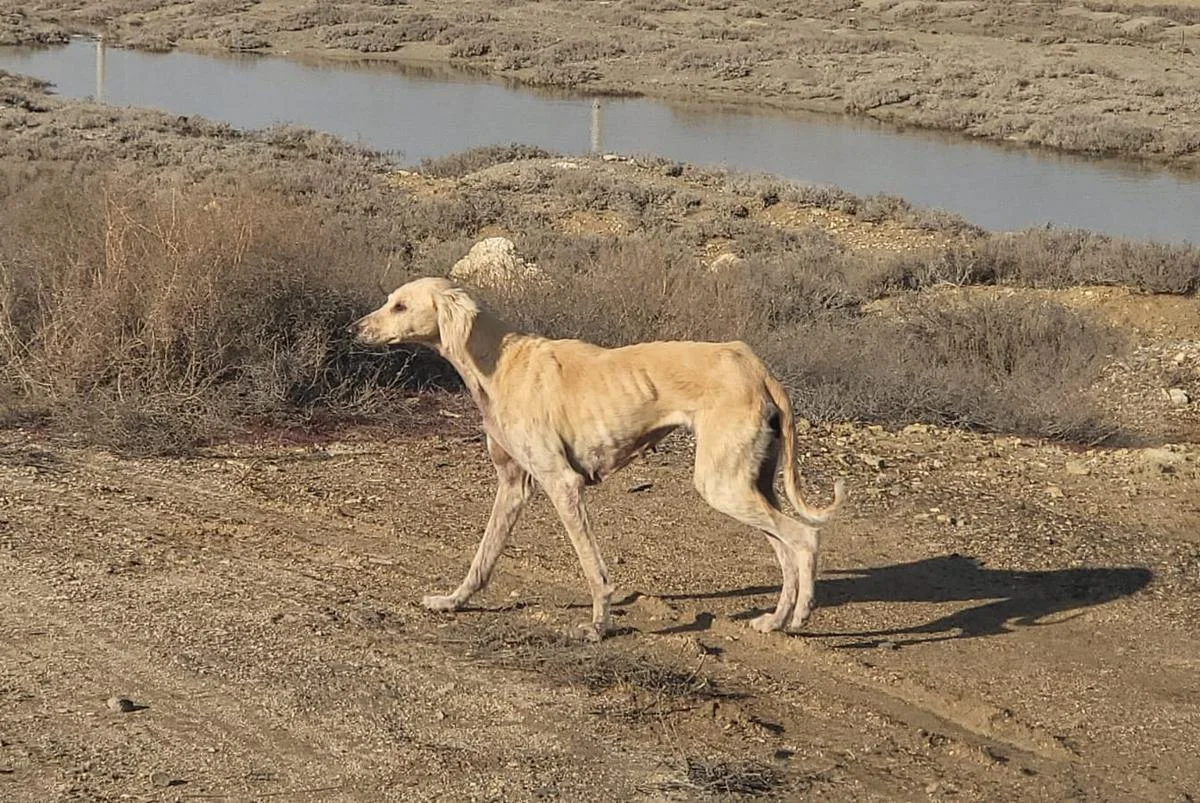 Фото местных жителей