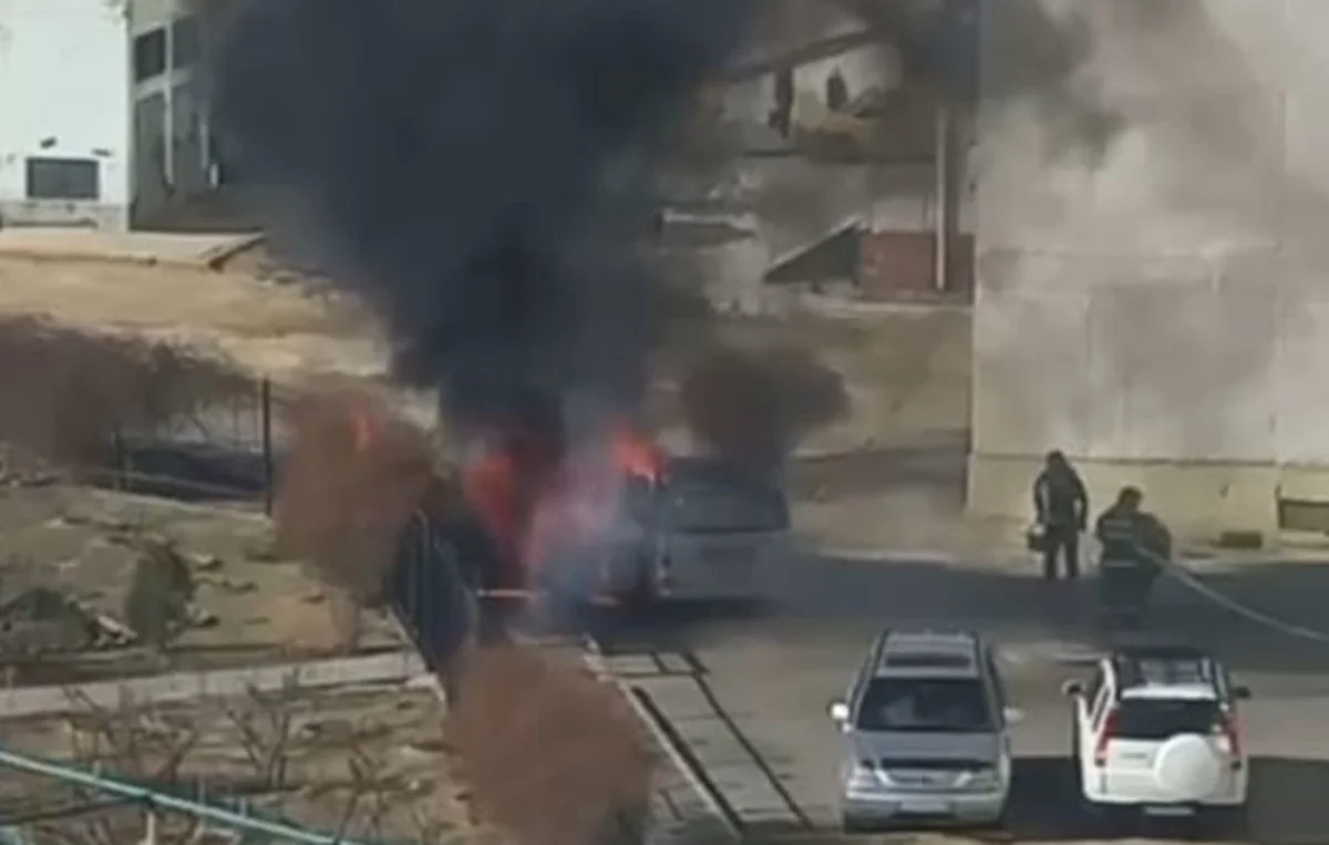 Фото: стоп-кадр из видео