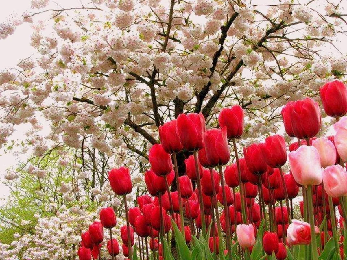 Фото: ru.pinterest.com