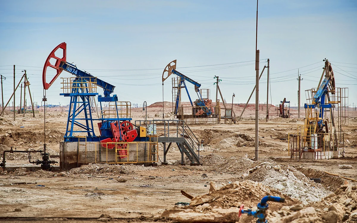 Фото: Shutterstock