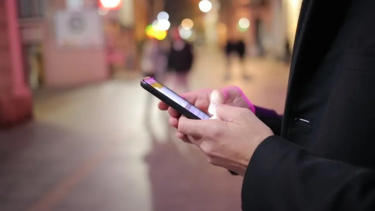 Фото: stock.adobe.com