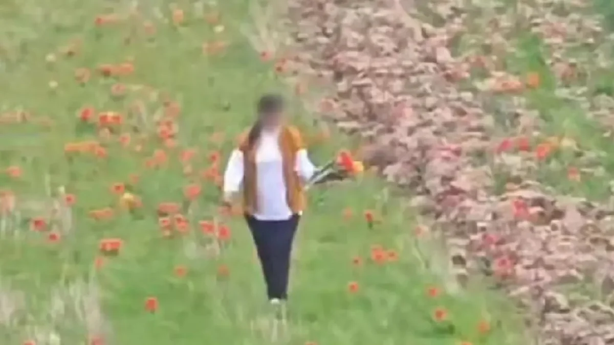 Кадр из видео: t.me/halyqstan