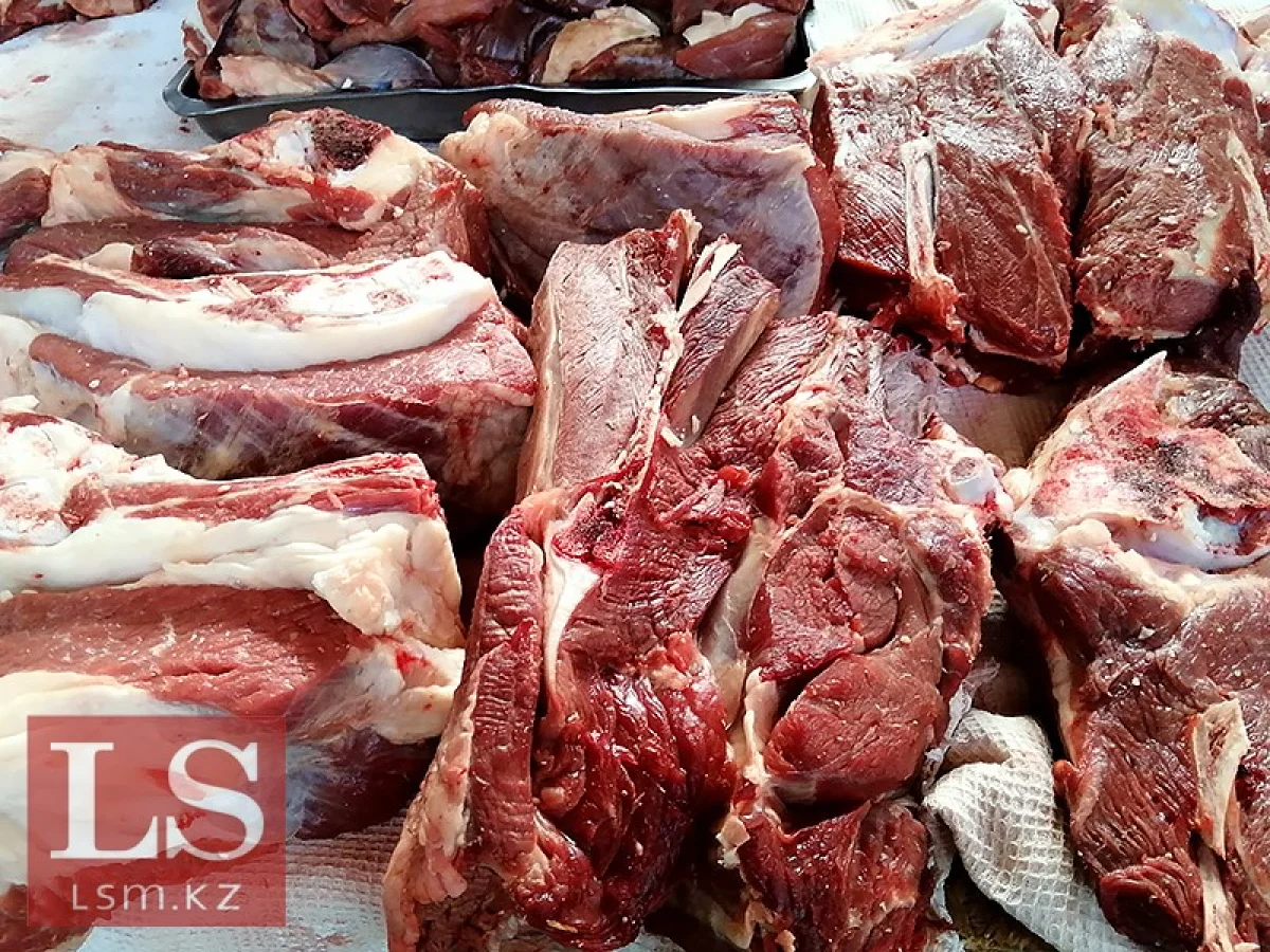 Фото: lsm.kz
