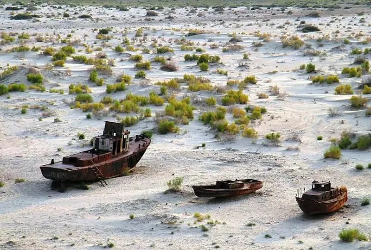 Фото: musorniy.ru