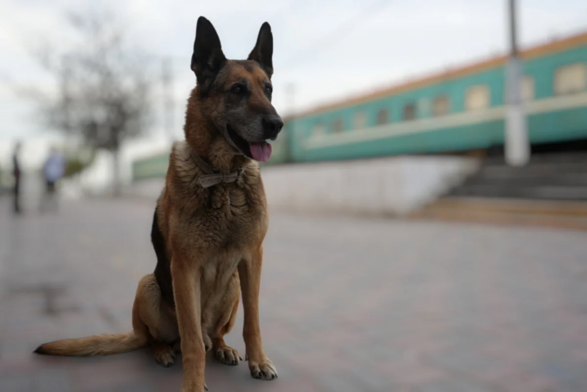 Фото автора