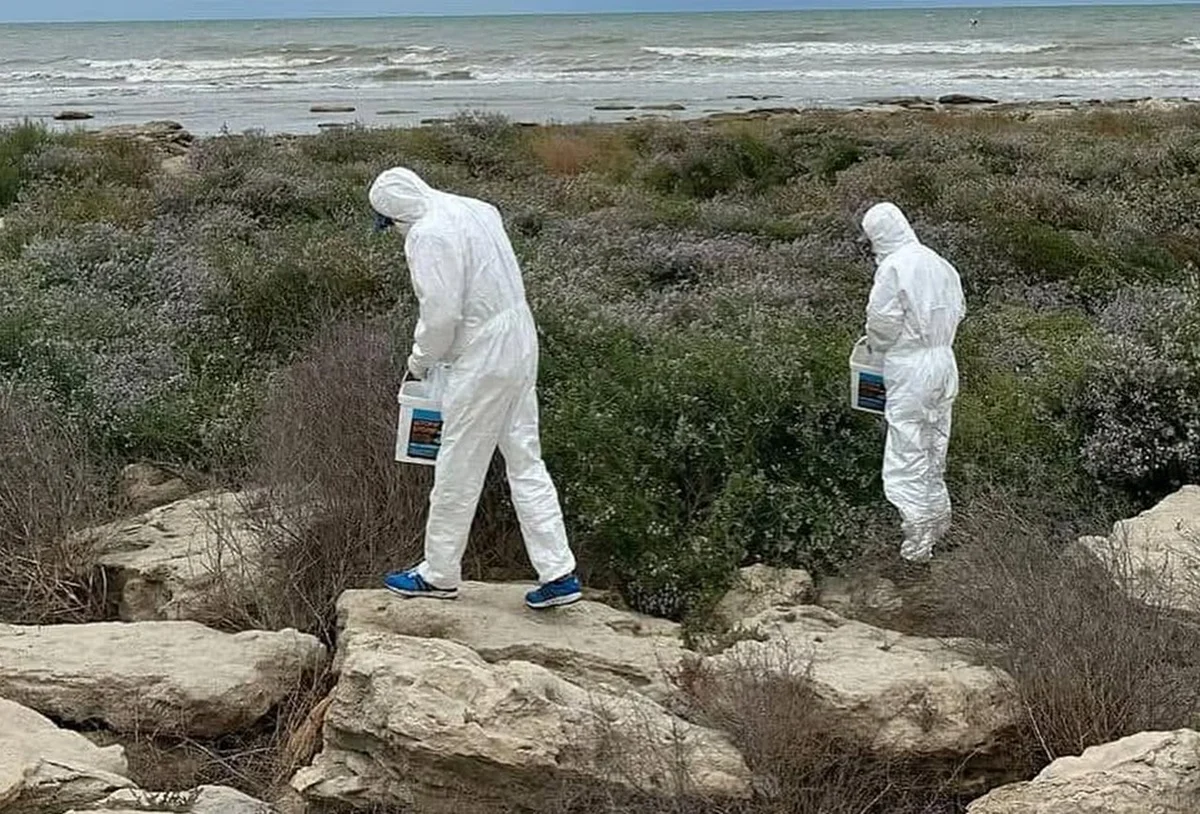 Фото: Актауский городской акимат