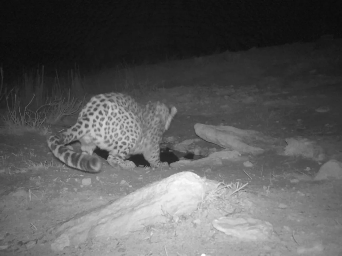 Фото: @ustirt_kz / Instagram