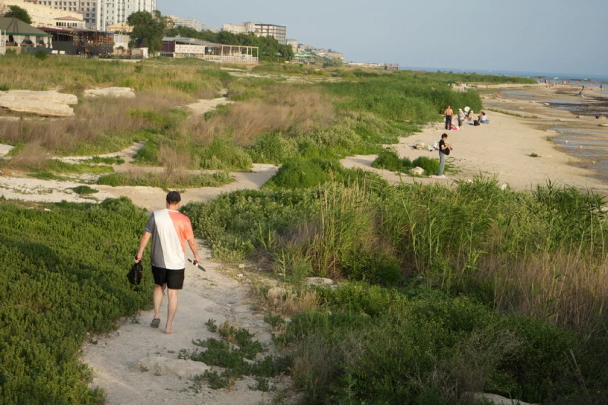 Городской пляж. Фото из архива