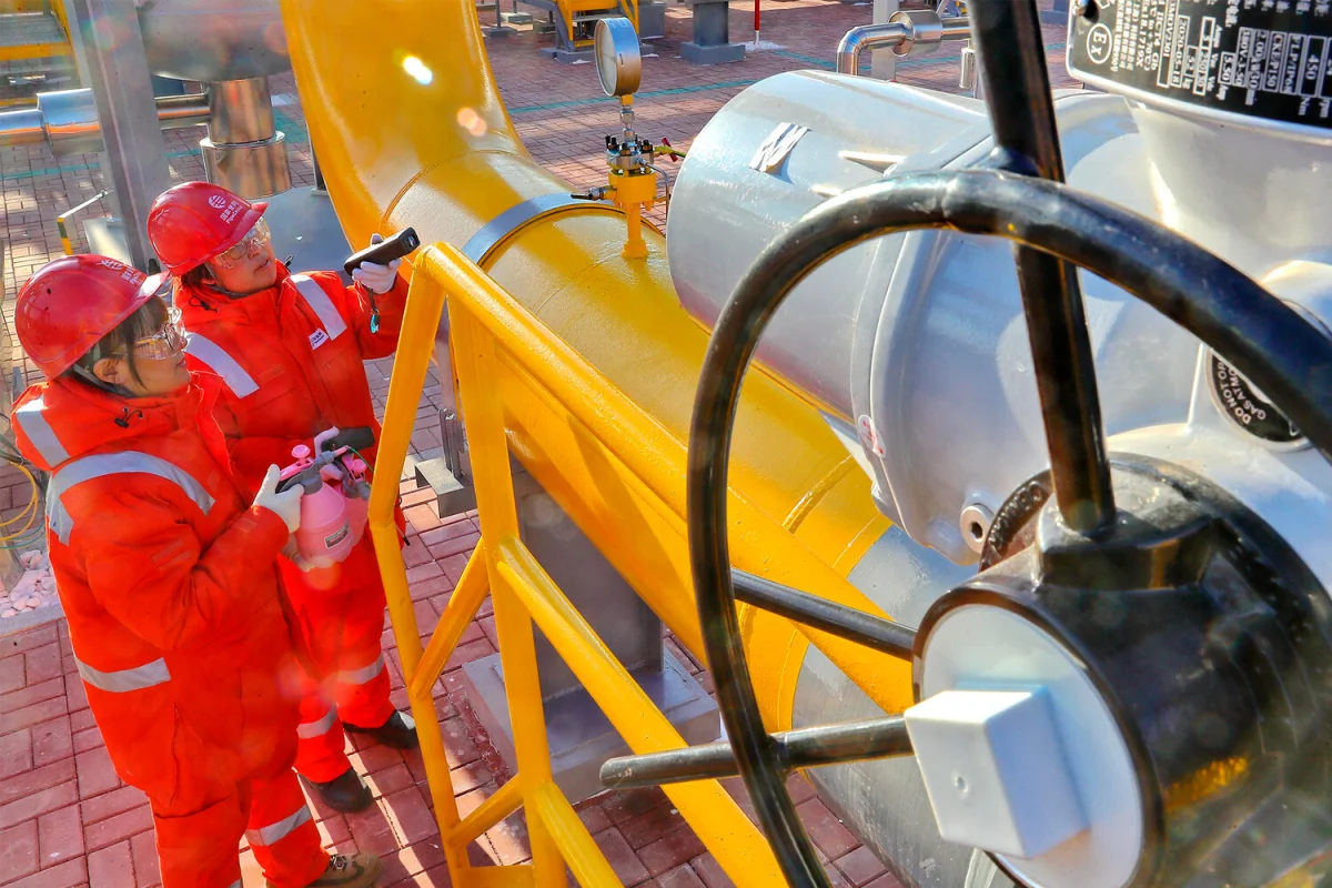 Фото:  Global Look Press