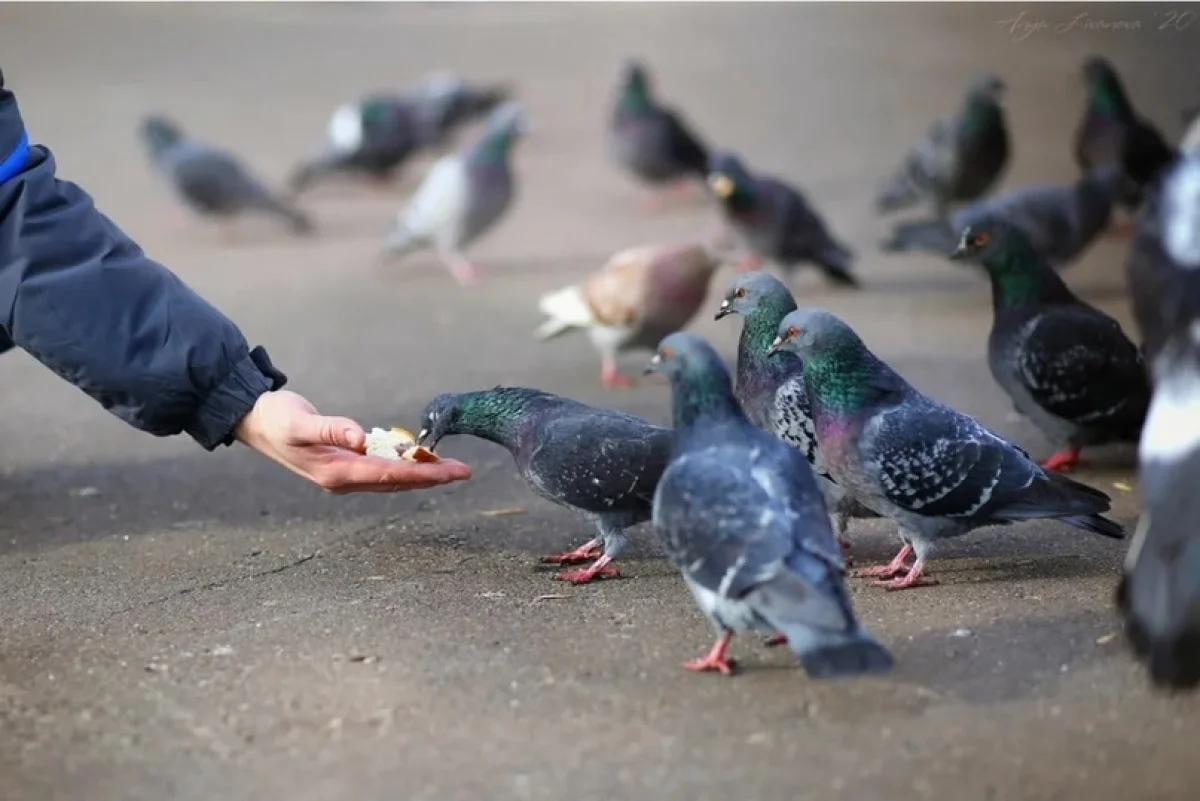 Фото: depositphotos.com