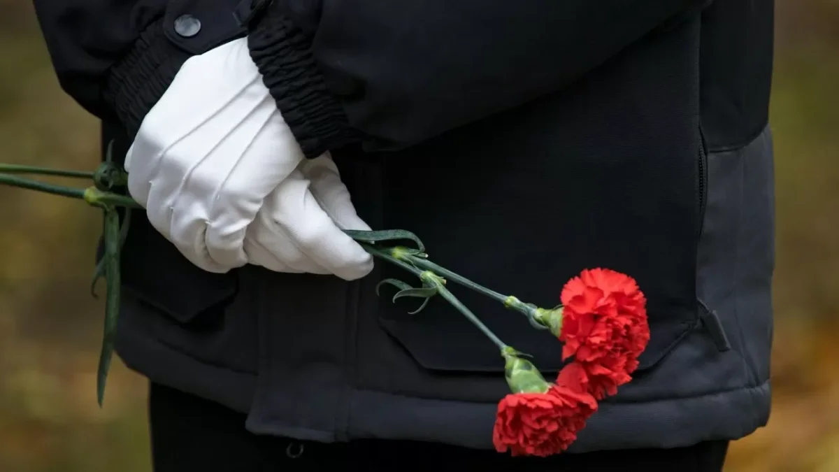 Фото: pixabay.com