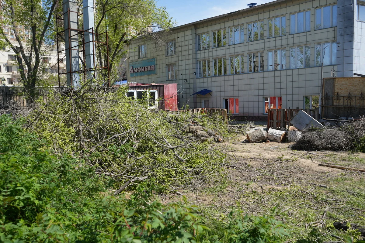 Фото автора