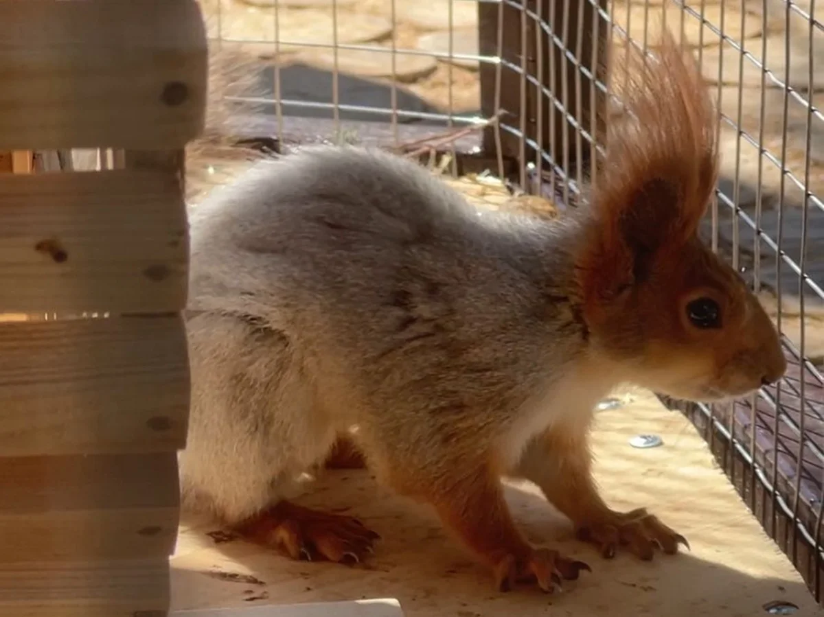 Фото пресс-службы предприятия