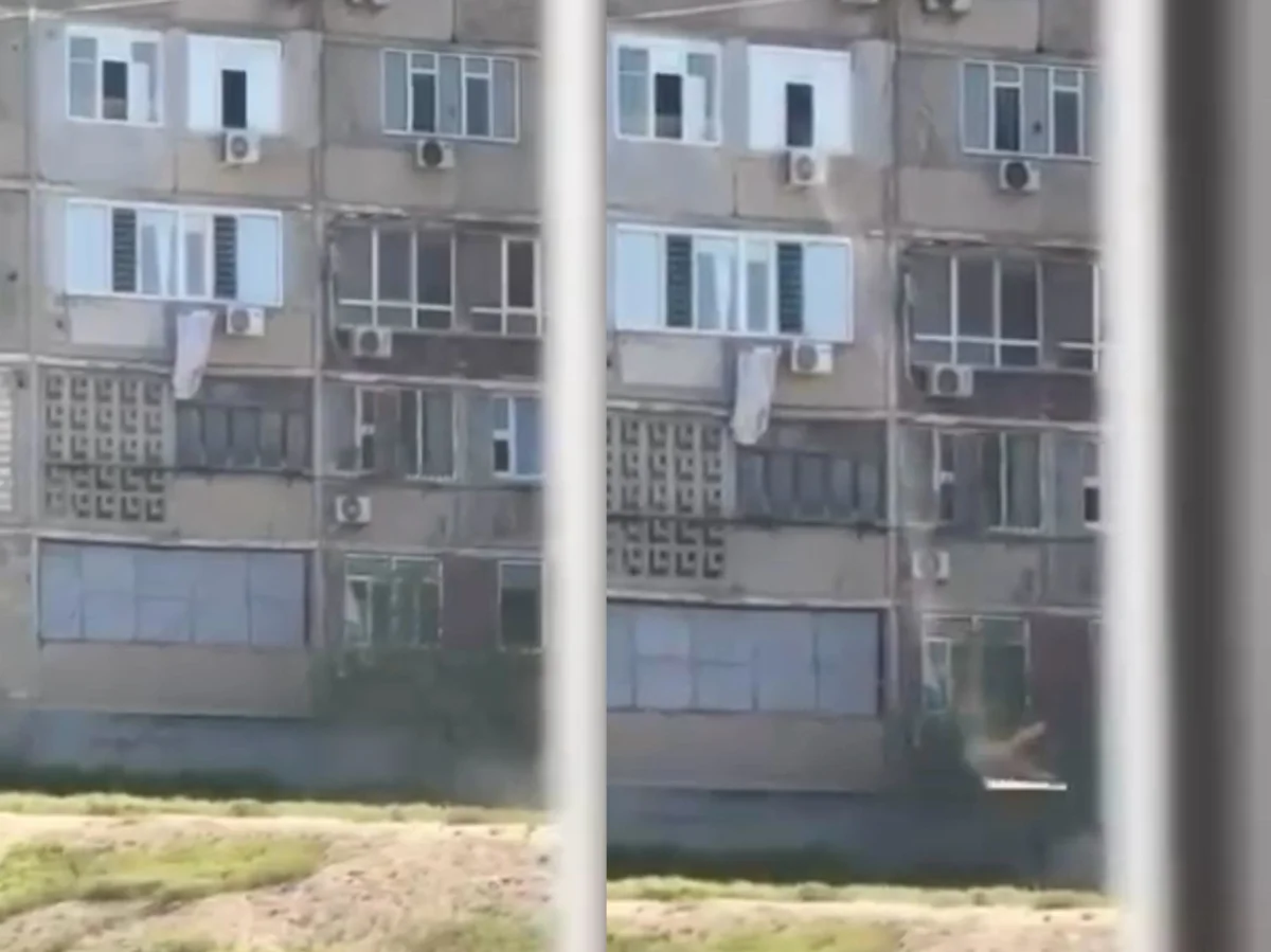 Коллаж Lada.kz