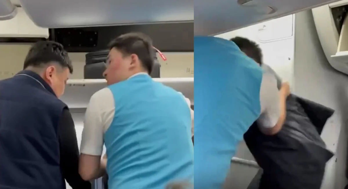 Драка в самолете. Коллаж Lada.kz