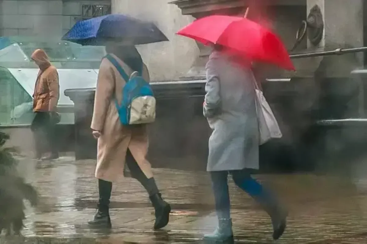 Фото: © Белновости