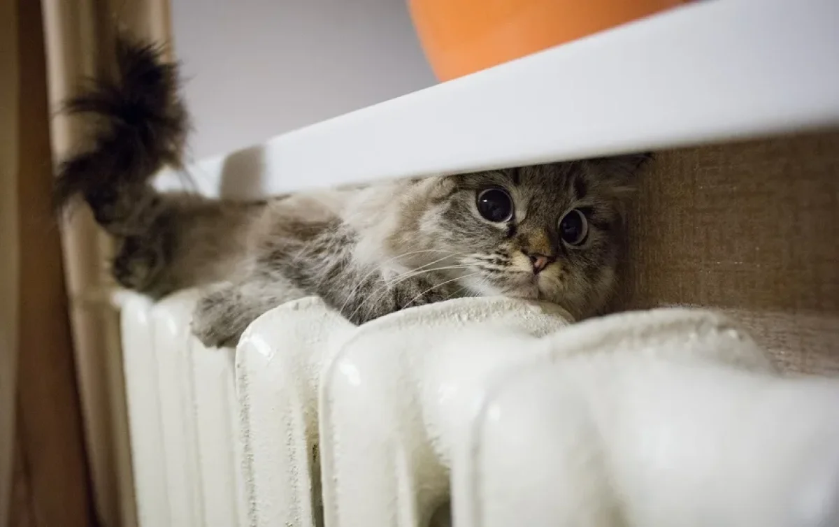 Фото: depositphotos.com