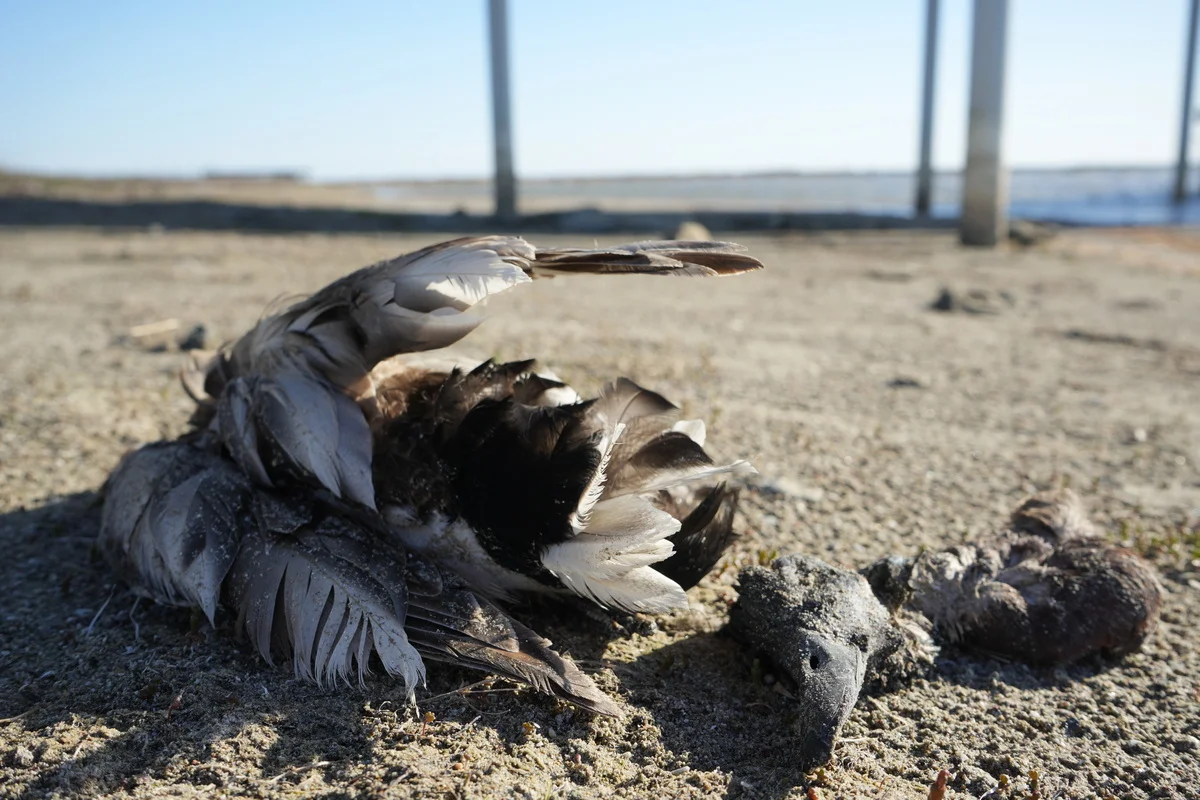 Фото предоставили туристы