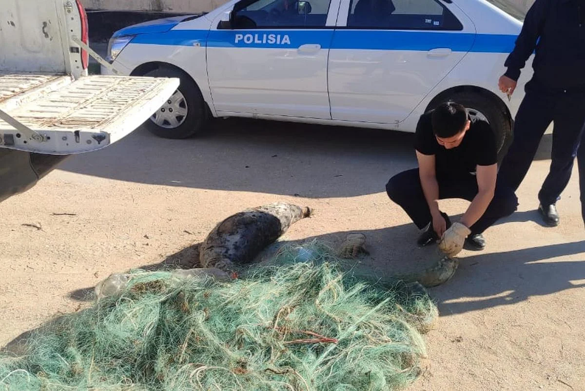 Фото предоставили в управлении рыбной инспекции Мангистауской области