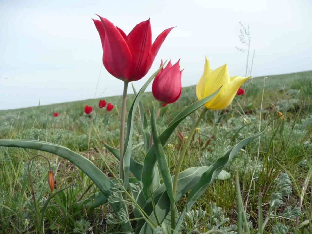 Фото: forum.guns.ru