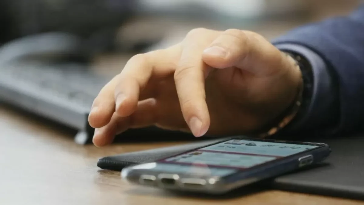 Фото: pixabay.com