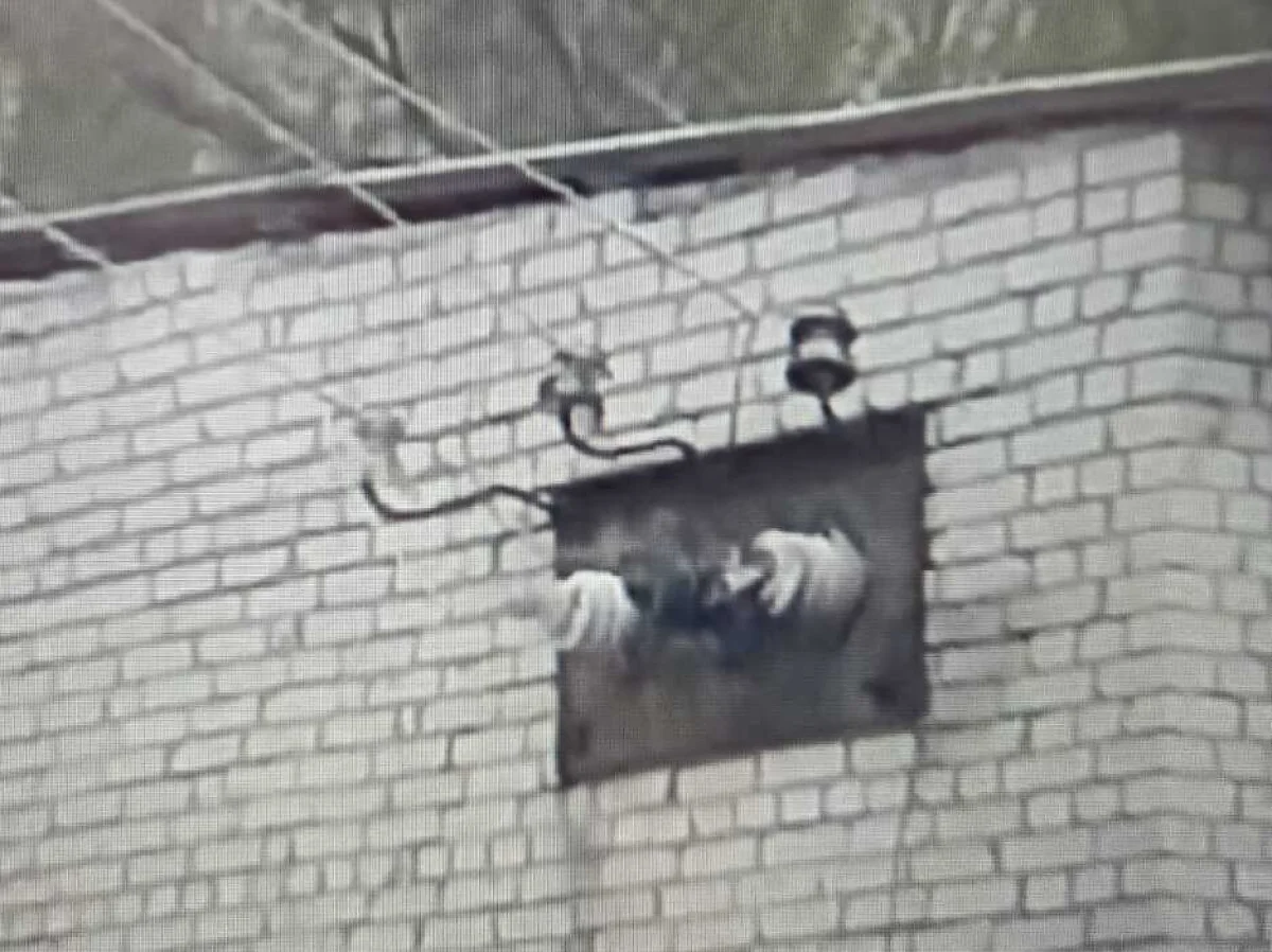 Кадр из видео