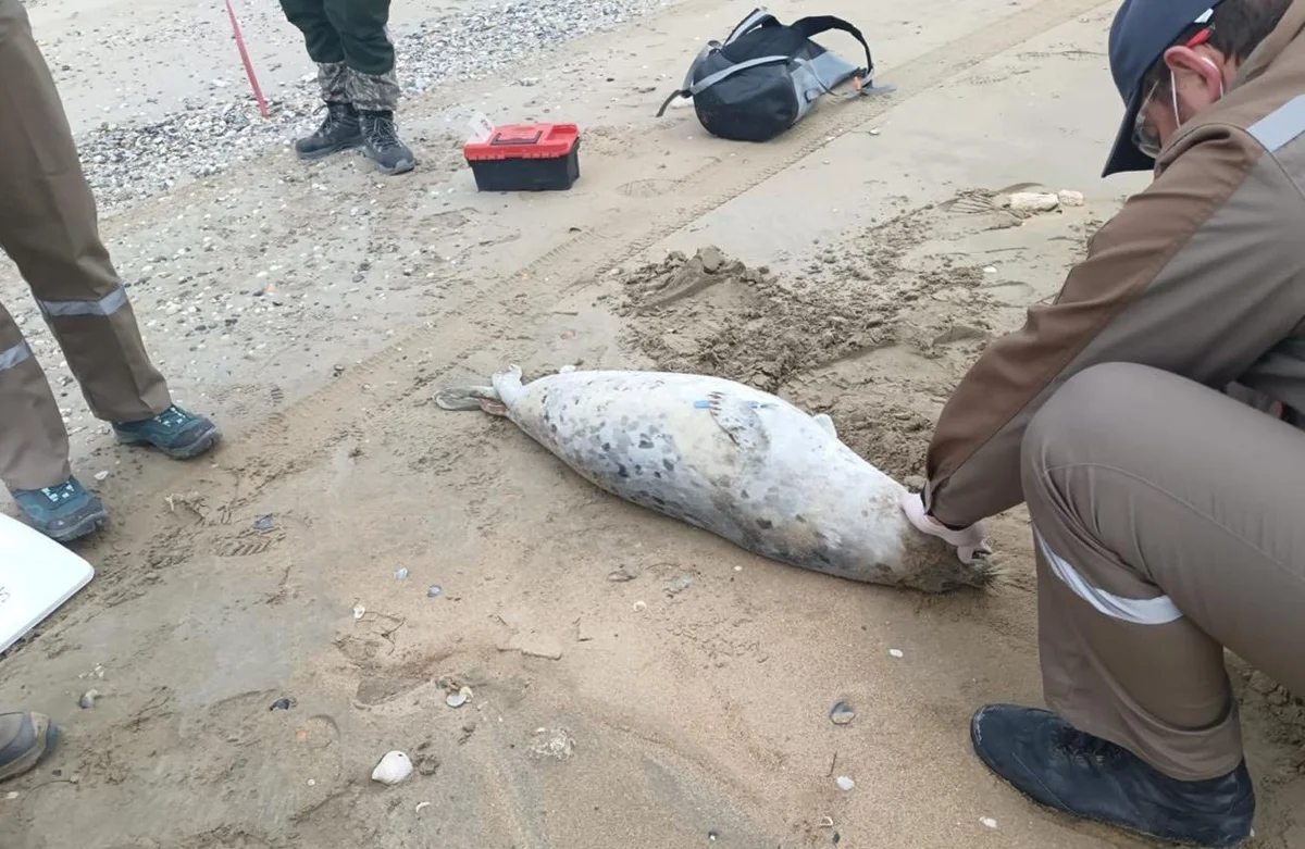 Фото Комитета рыбного хозяйства