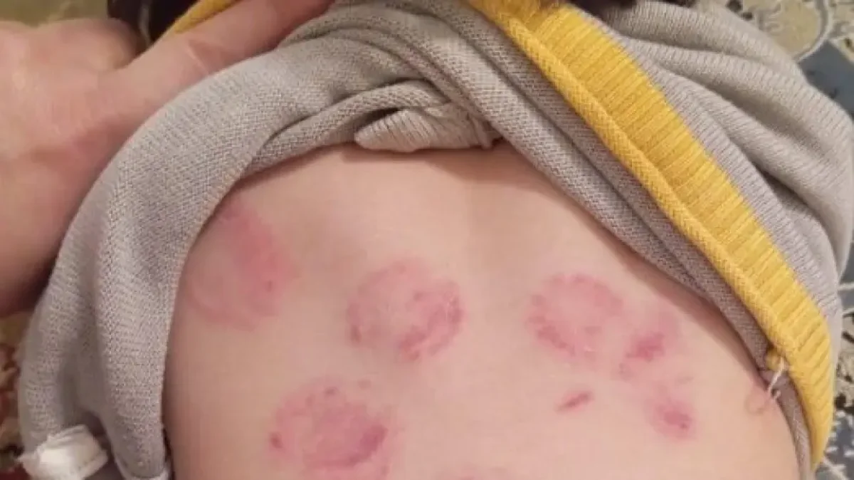 Фото: instagram/kritikakyzylordyy