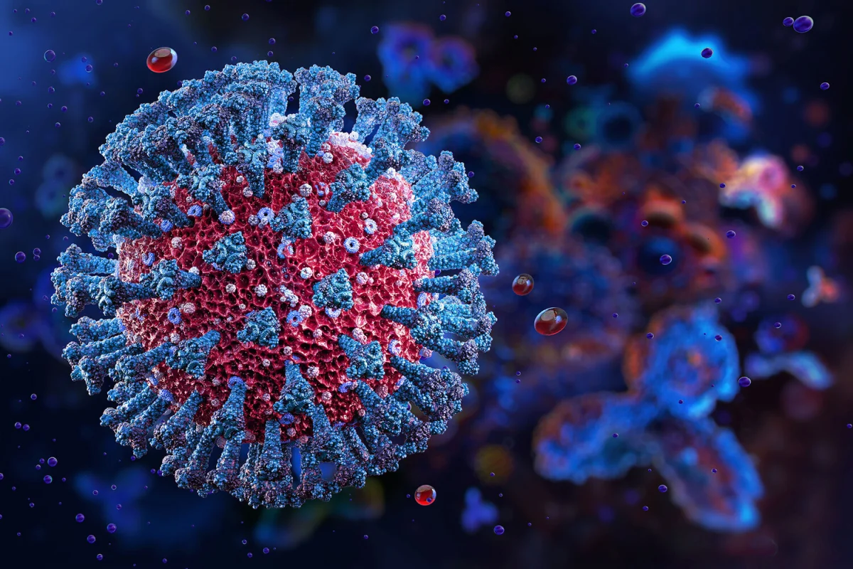 Фото: Corona Borealis Studio/Shutterstock/FOTODOM