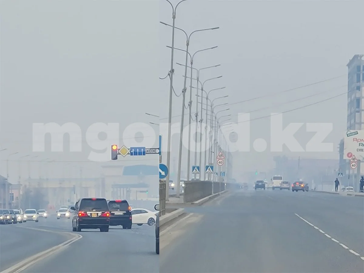 Фото: "Мой ГОРОД"