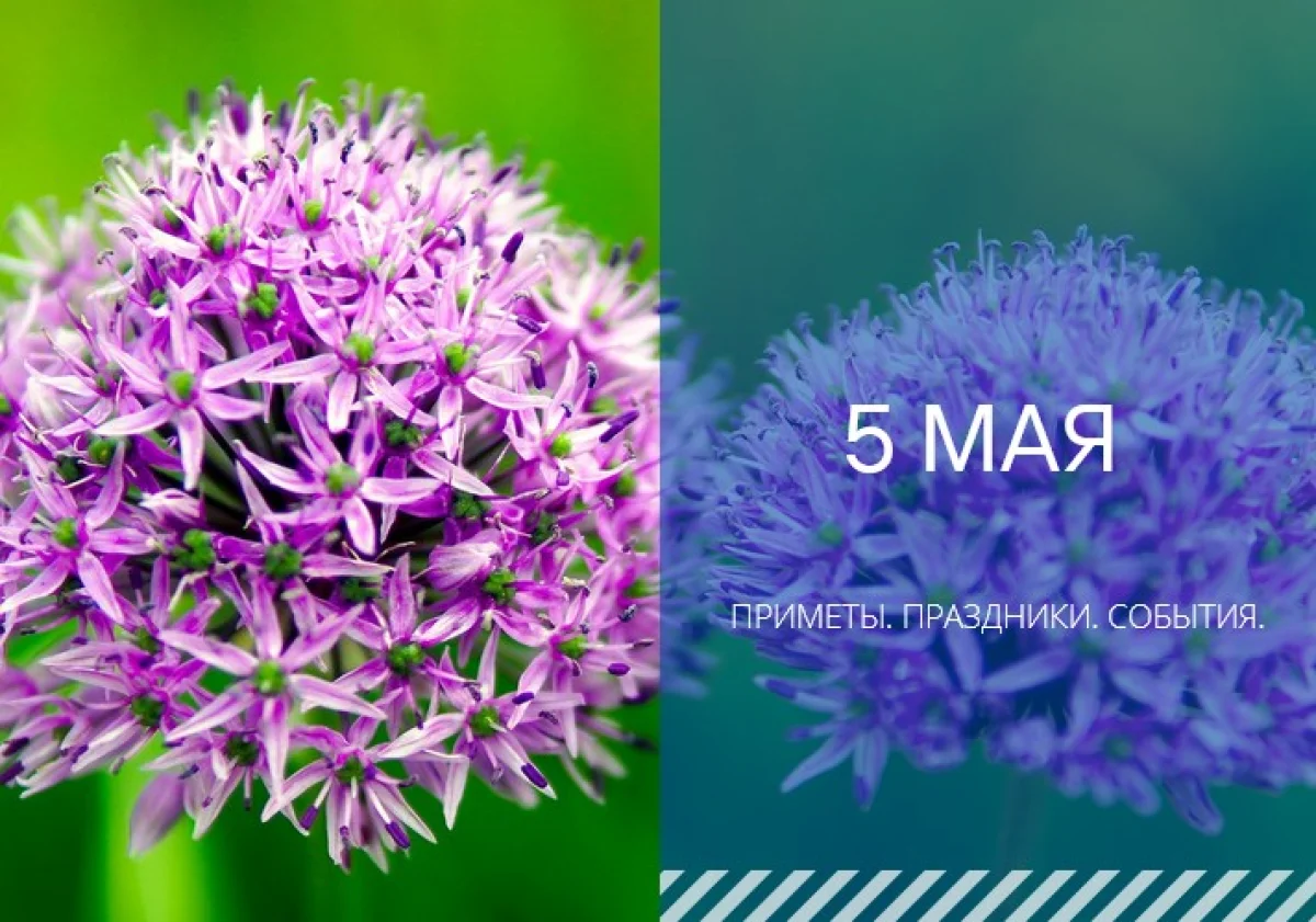 Фото pixabay.com