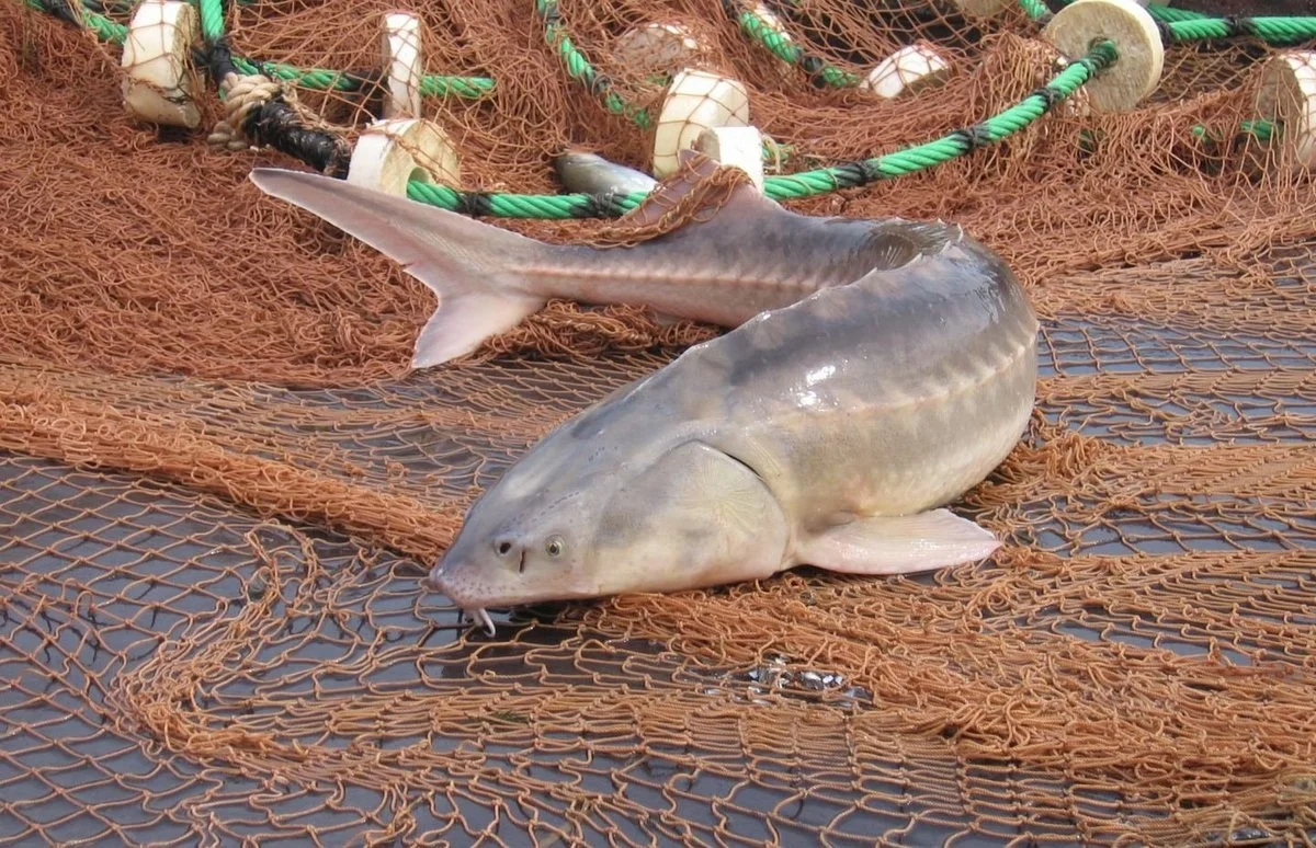 Фото с сайта happylove.top