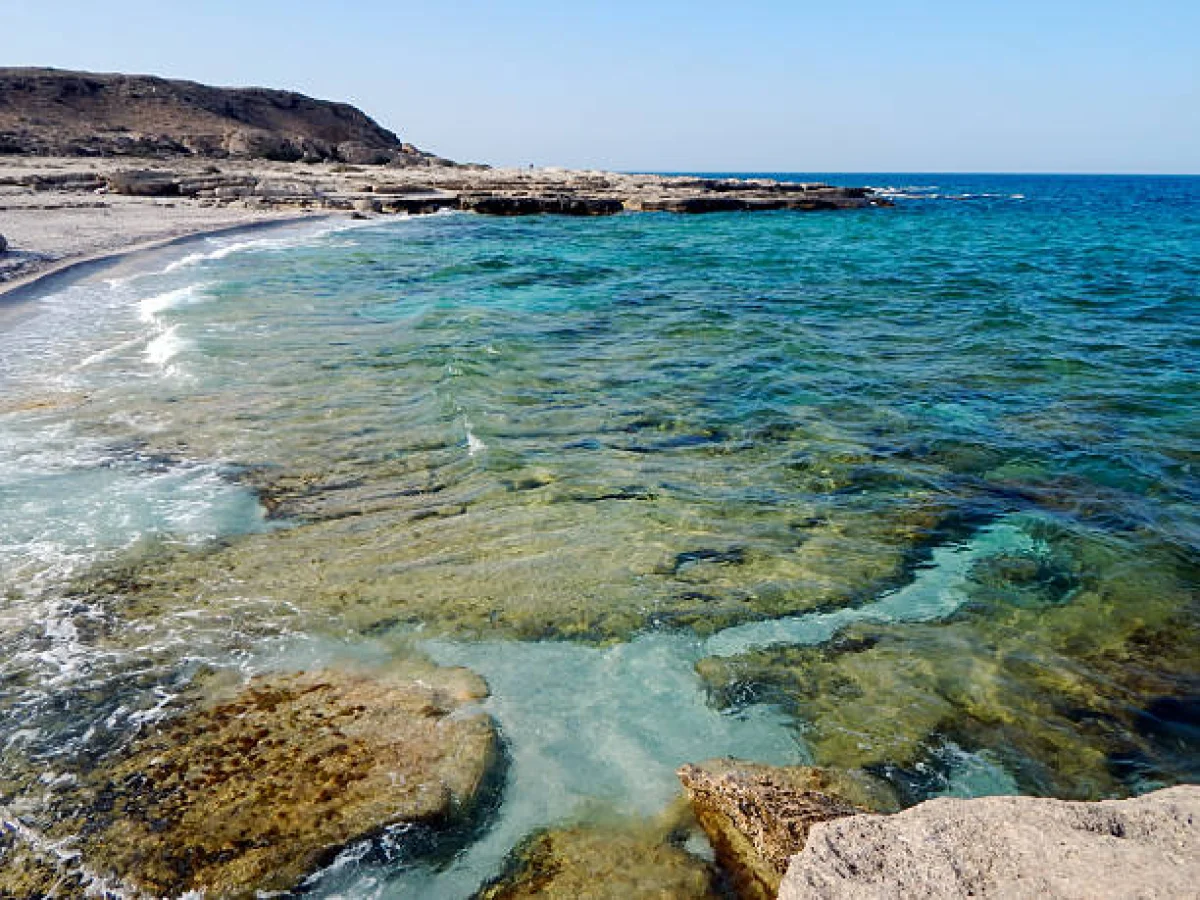 Фото pixabay.com