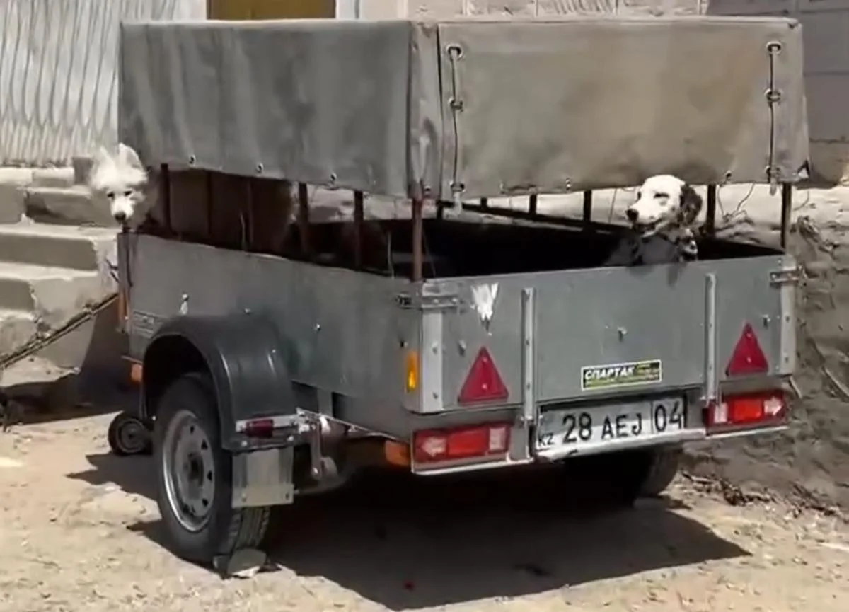 Фото: кадр видео