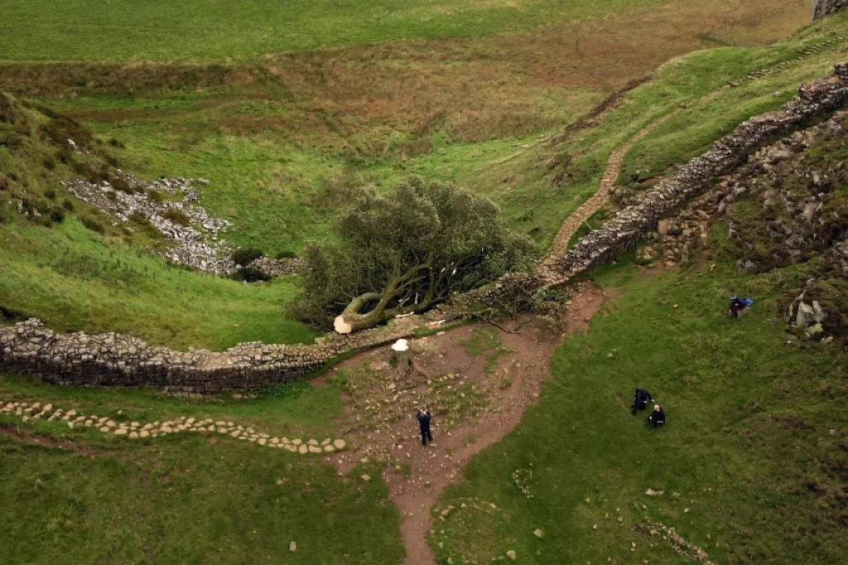 Фото: The Guardian