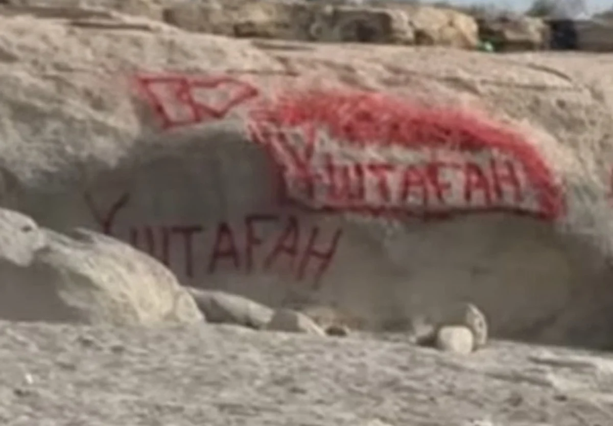 Фото: стоп-кадр из видео