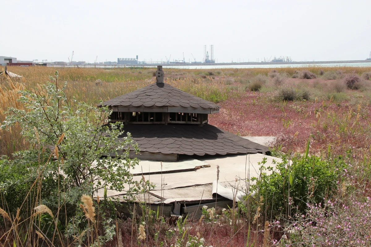 Территория у моря. Фото О. Ярославской/Lada.kz