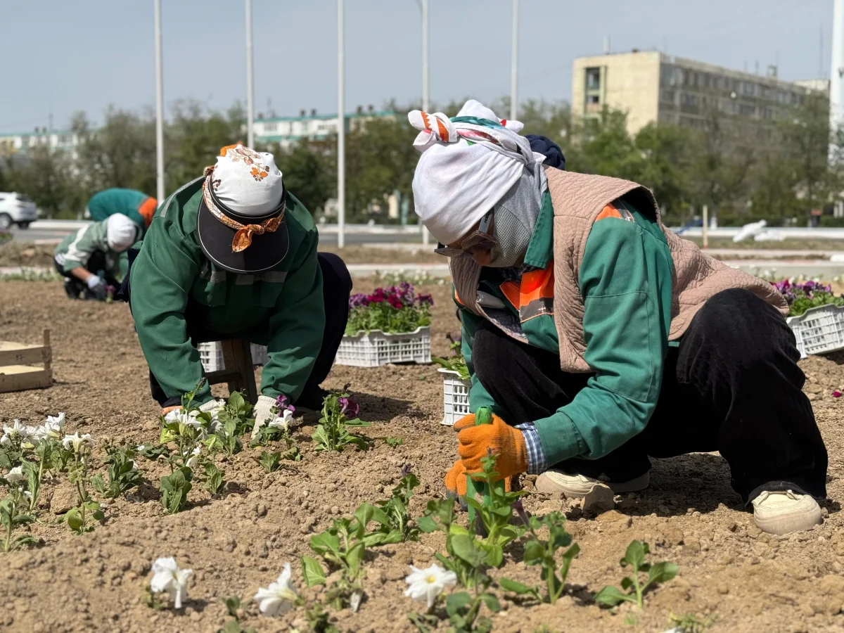 Посадка цветов в Актау. Фото акимата