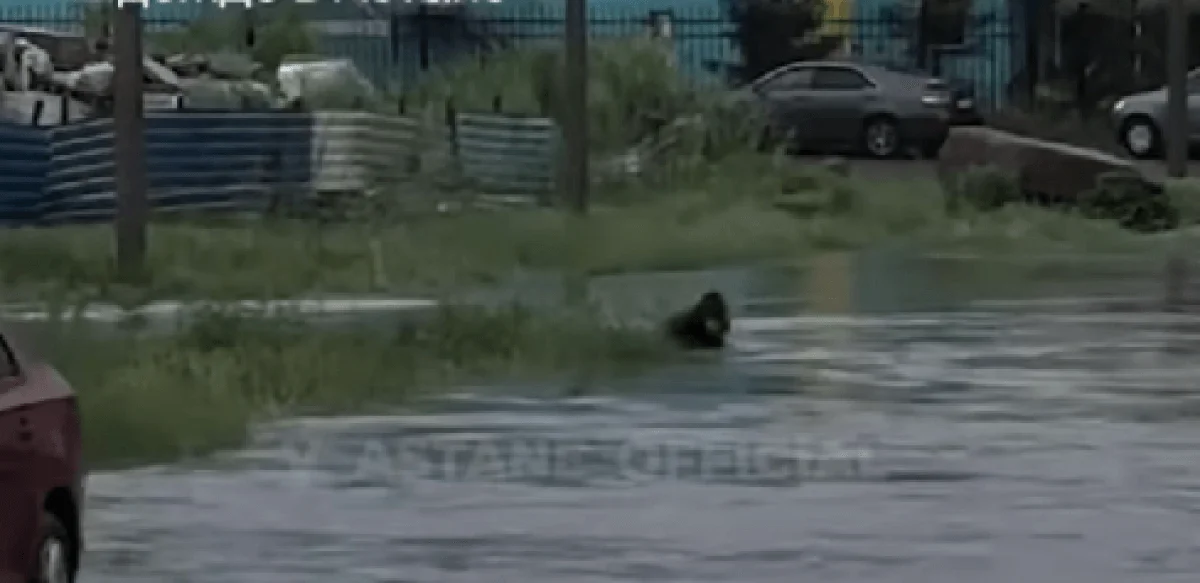 Кадр из видео