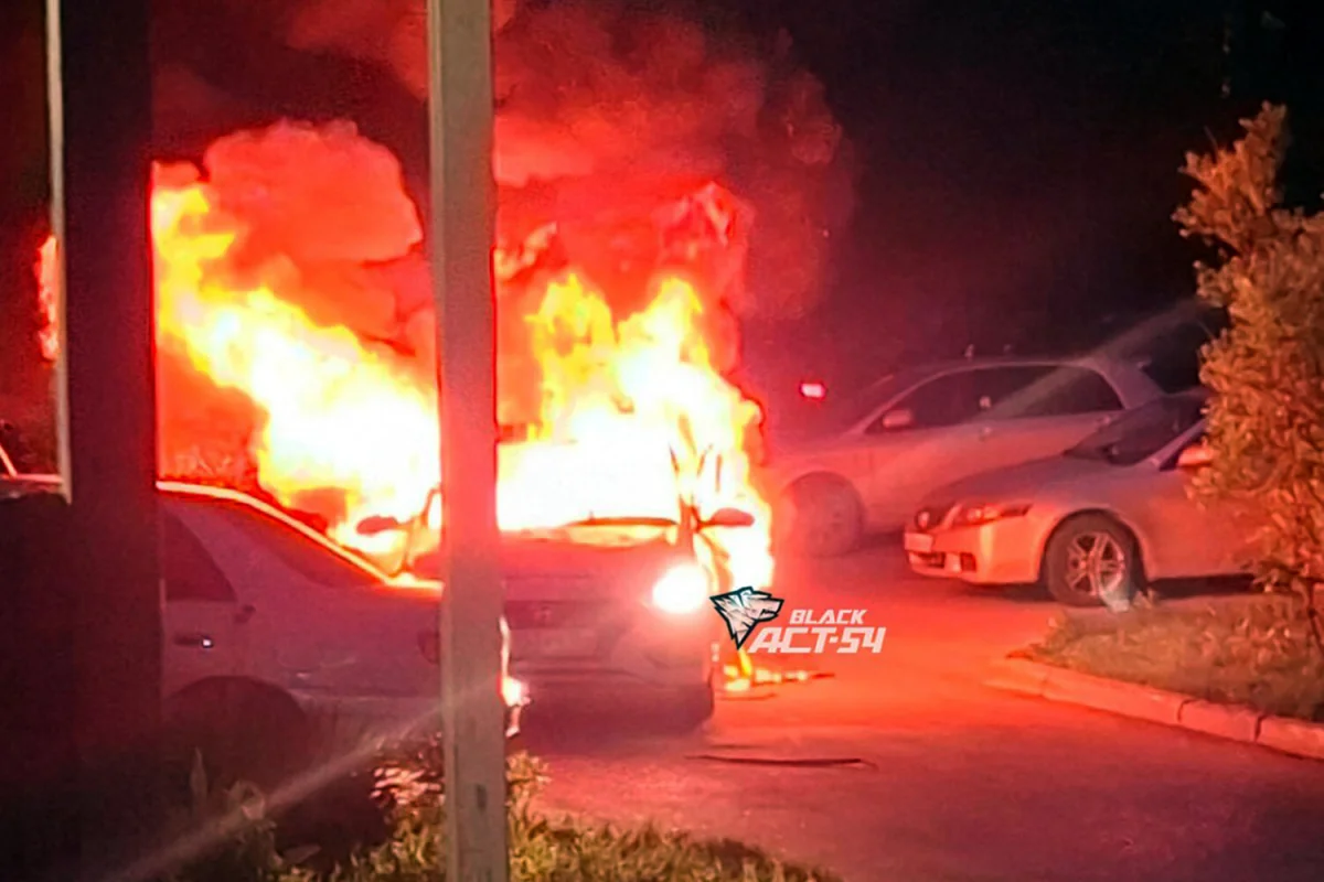 Фото: Кадр из видео/Telegram-канал «АСТ-54 Black»