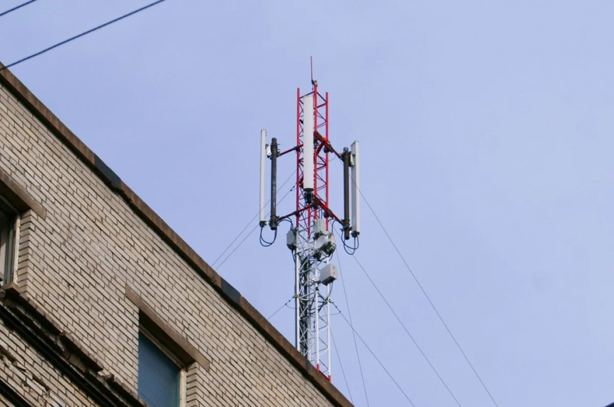 Фото: pixabay.com