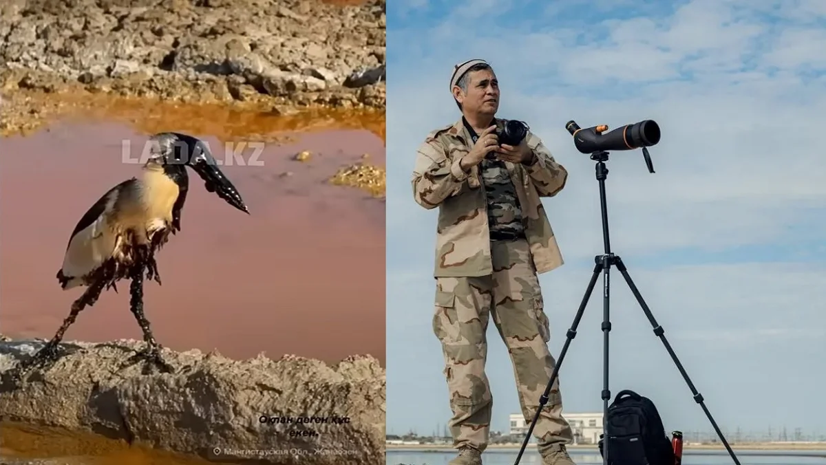 Коллаж автора