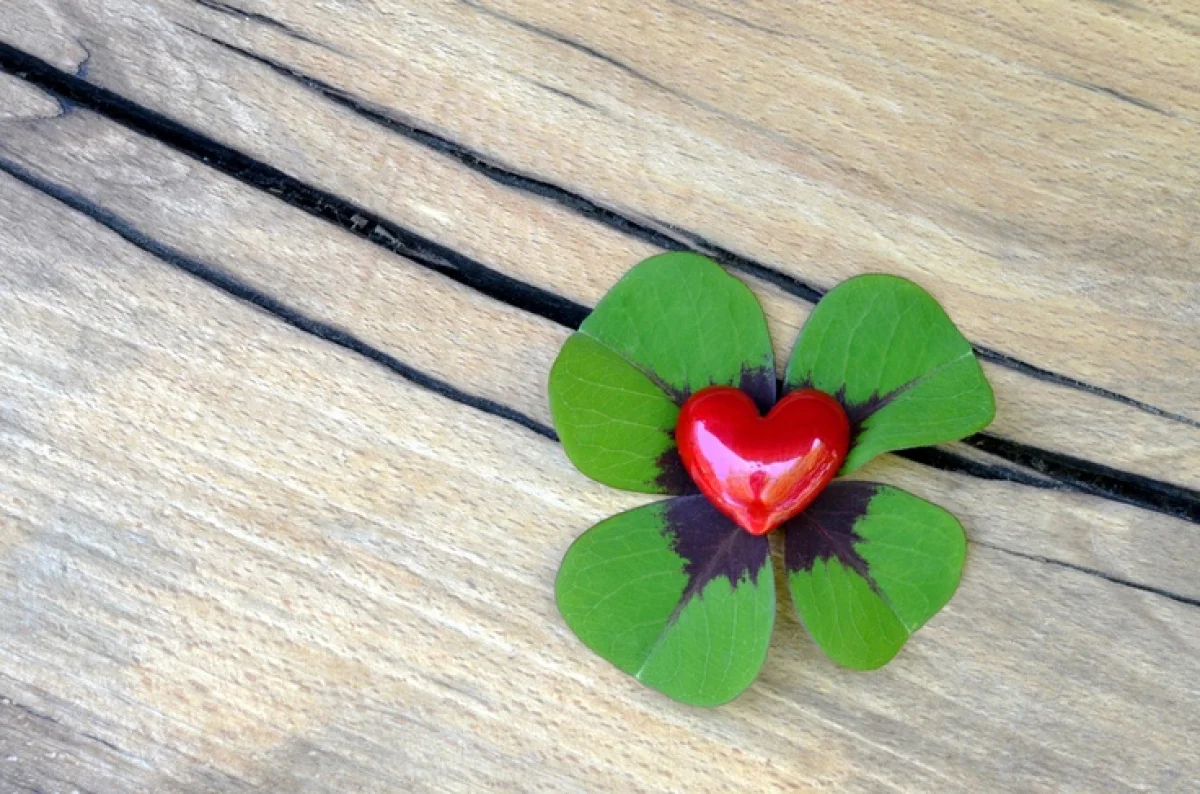 Фото: ru.pinterest.com