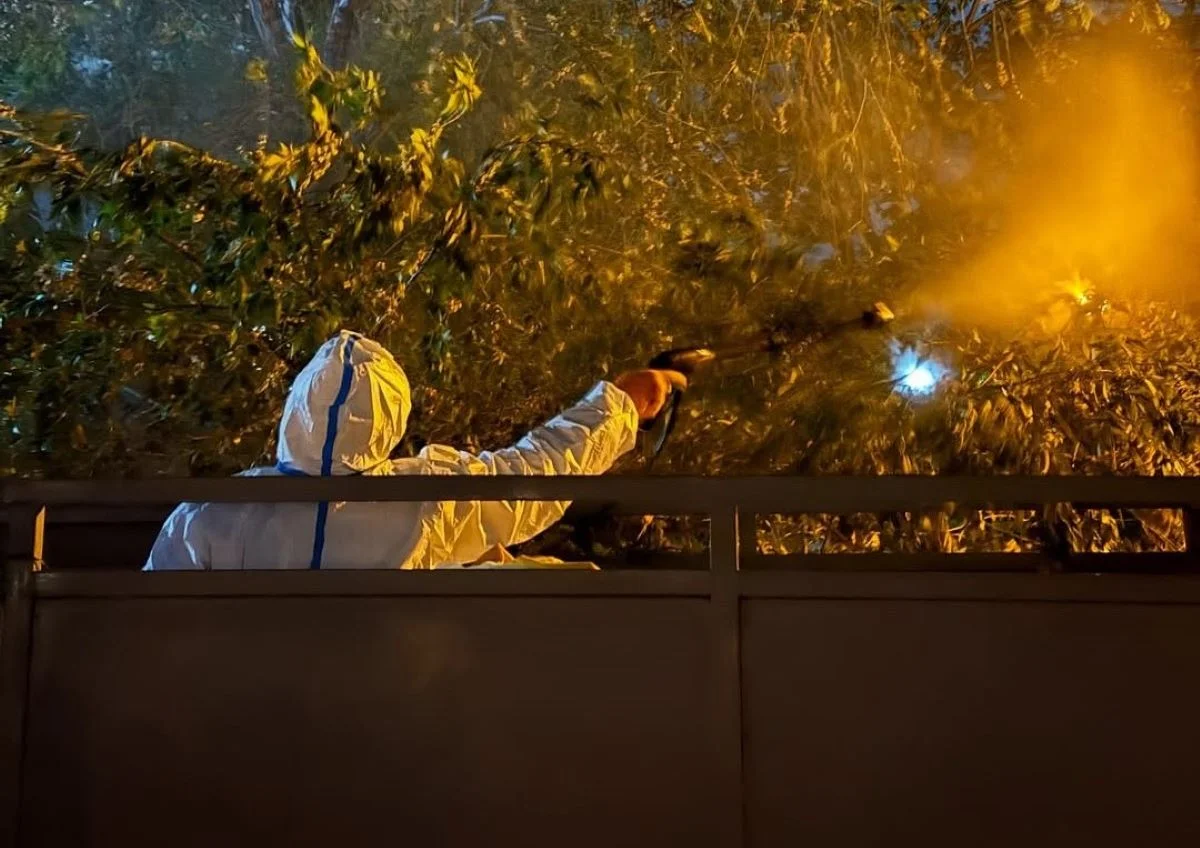 Фото: ТОО «Green City Aktau»